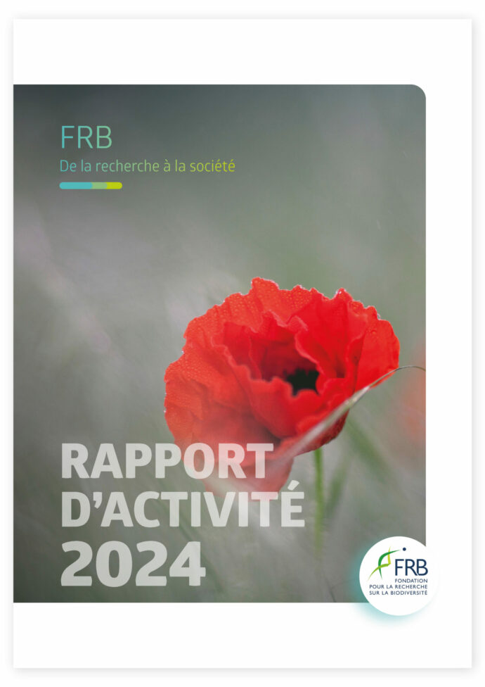 Rapports d’activité de la FRB
