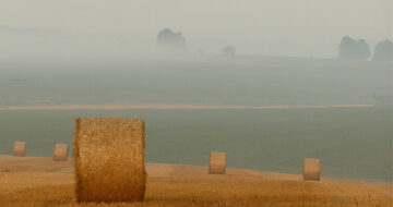 Pesticides en France : dix ans d’exposition aux substances actives