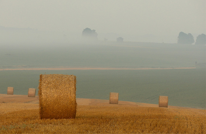 Pesticides en France : dix ans d’exposition aux substances actives