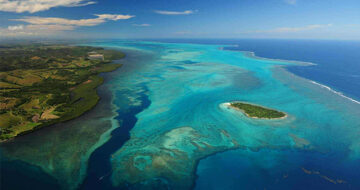Les îles : joyaux de biodiversité en péril