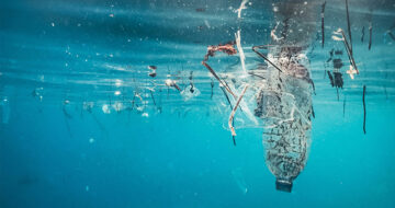 Thierry Bouvier | Le risque microbiologique des plastiques en mer