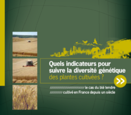 Quels indicateurs pour suivre la diversité génétique des plantes cultivées ?