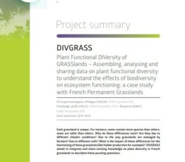 Divgrass | Assembler, analyser et partager des données sur la diversité fonctionnelle végétale afin de comprendre les effets de la biodiversité sur le fonctionnement des écosystèmes