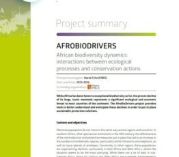 AfroBioDrivers | Dynamique de la biodiversité africaine : interactions entre processus écologiques et actions de conservation