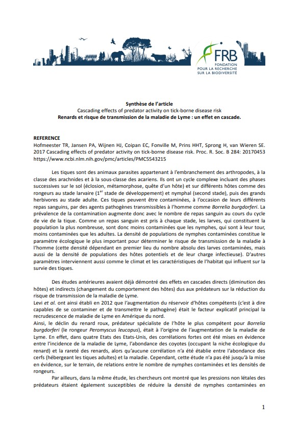 Renard et risque de transmission de la maladie de Lyme : un effet en cascade