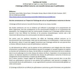L’éclairage nocturne, une nouvelle menace pour la pollinisation