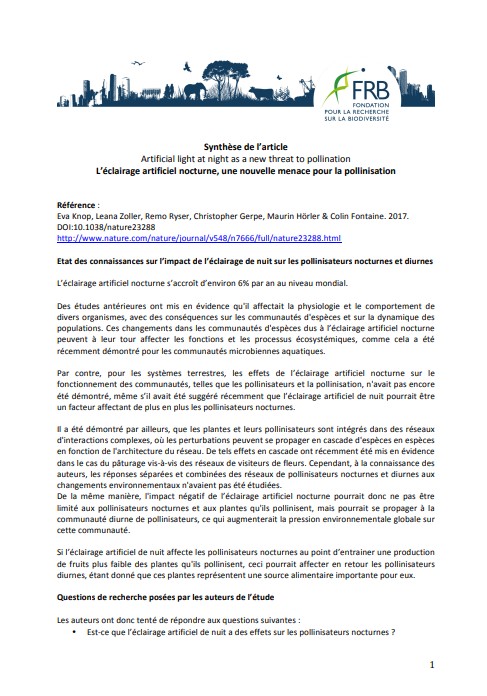 L’éclairage nocturne, une nouvelle menace pour la pollinisation