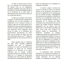 Biodiversité et climat : un même combat international