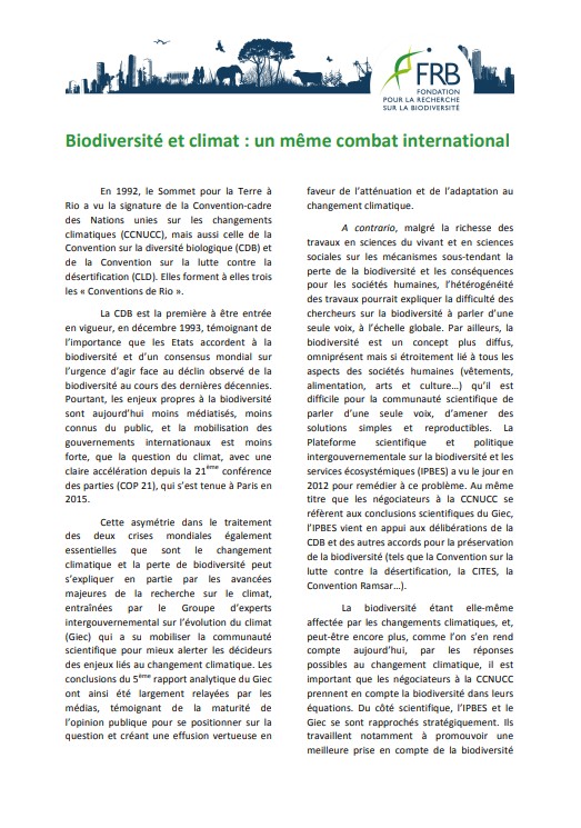 Biodiversité et climat : un même combat international