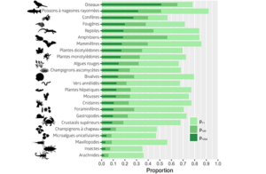 Répartition des occurrences de biodiversité dans le GBIF