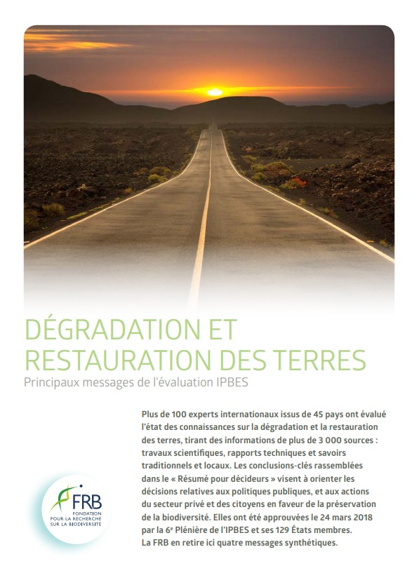 Dégradation et restauration des terres, les principaux messages de l’évaluation IPBES
