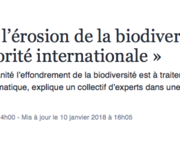 [Tribune] La lutte contre l’érosion de la biodiversité doit être une priorité internationale