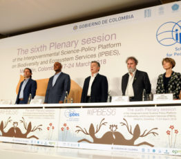 [Ipbes 6] Suivez jour après jour le déroulé de la plénière