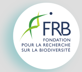 Développement de scénarios pour la biodiversité et les (…)