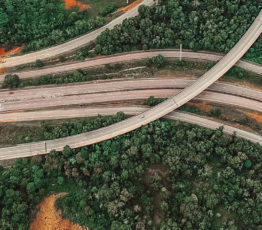 Biodiversity & linear infrastructure