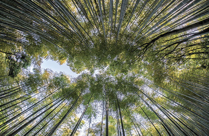 Biodiversité et services écosystémiques en Europe et Asie centrale, les principaux messages de l’évaluation IPBES