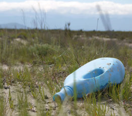 La biodiversité face à la pollution plastique