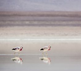 La biodiv’ en images