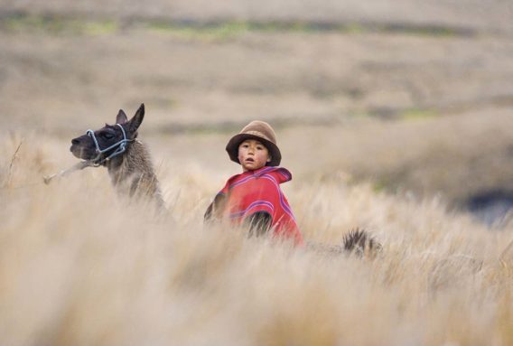 L’ENFANT ET LE LAMA