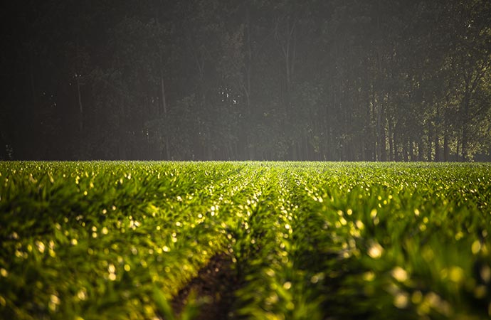 Devons-nous choisir entre nourrir l’humanité et protéger la nature ? Modélisation des liens entre l’environnement et la démographie humaine