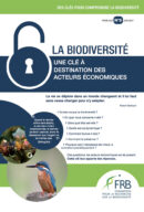 Biodiversité – Une clé à destination des acteurs économiques