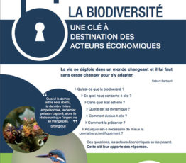 Biodiversité – Une clé à destination des acteurs économiques