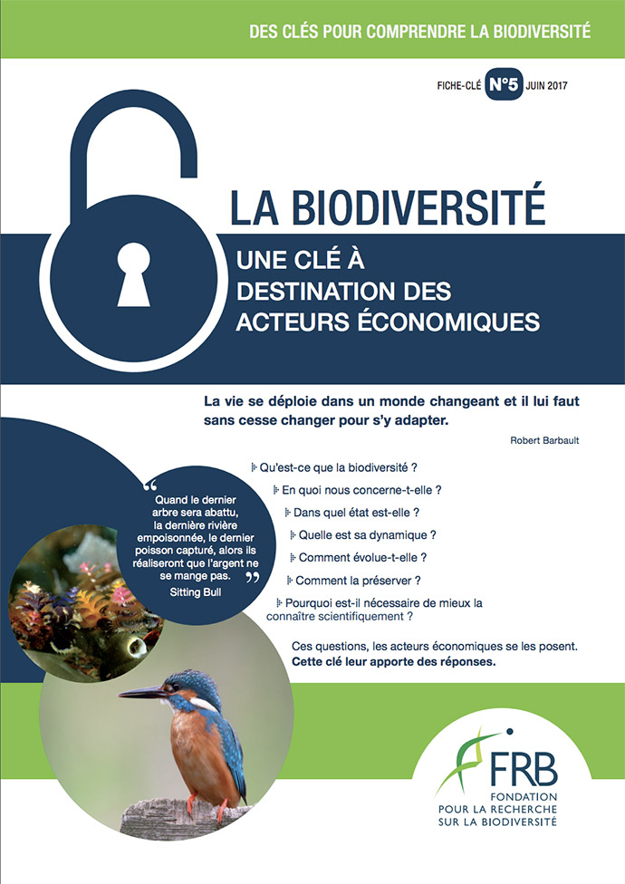 Biodiversité – Une clé à destination des acteurs économiques