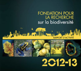 Rapport d’activité 2012-2013