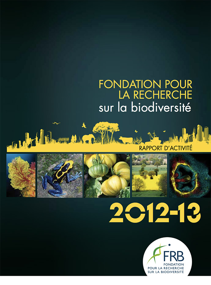 Rapport d’activité 2012-2013