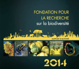 Rapport d’activité 2014