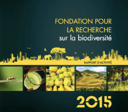Rapport d’activité 2015