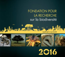 Rapport d’activité 2016