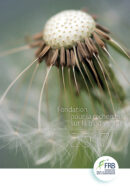 Rapport d’activité 2017