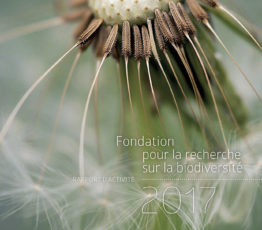Rapport d’activité 2017