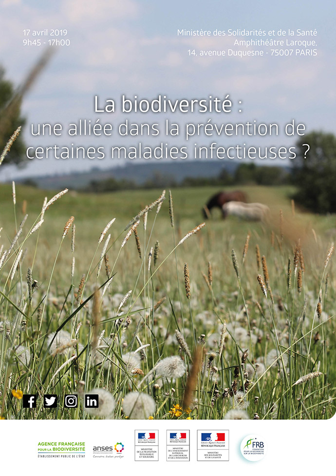 La biodiversité : une alliée dans la prévention de certaines maladies infectieuses ?