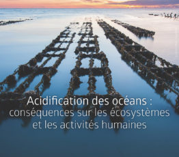 Acidification des océans : conséquences sur les écosystèmes et les activités humaines