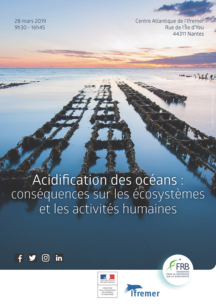 Acidification des océans : conséquences sur les écosystèmes et les activités humaines