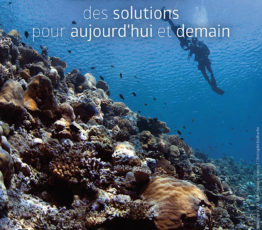 Récifs coralliens : des solutions pour aujourd’hui et demain
