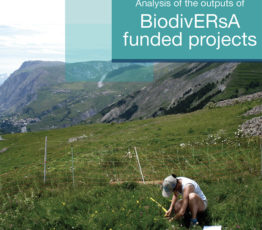 Biodiversité : lier avancées scientifiques, politiques et pratiques
