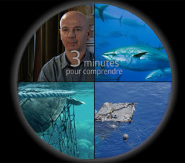 [DCSMM] 3 minutes pour comprendre le coût économique et sociale de la dégradation du milieu marin