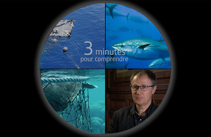 [DCSMM] 3 minutes pour comprendre l’état écologique des espèces halieutiques commerciales pêchées dans les eaux métropolitaines