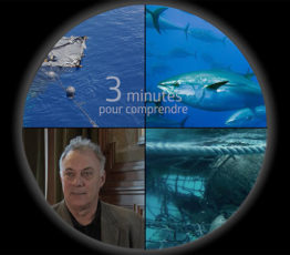 [DCSMM] 3 minutes pour comprendre l’impact des déchets en milieu marin