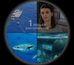 [DCSMM] 1 minute pour comprendre la DCSMM