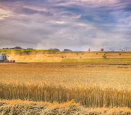 Les écosystèmes agricoles :  une évaluation dans le cadre du programme EFESE