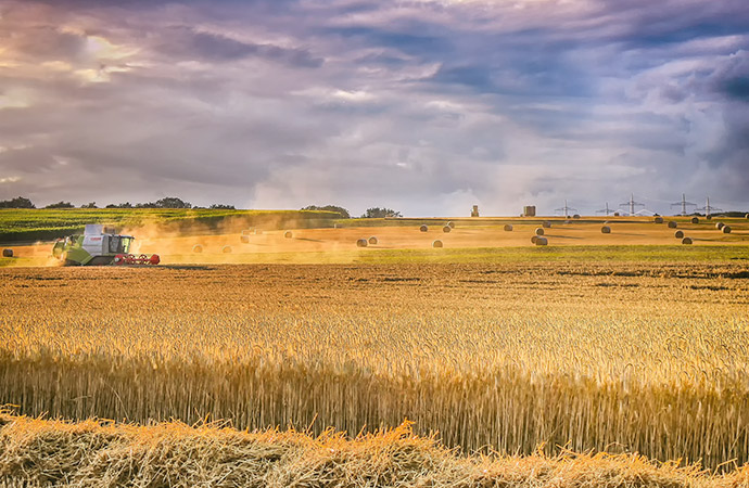 Les écosystèmes agricoles :  une évaluation dans le cadre du programme EFESE