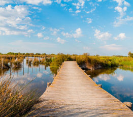 Les milieux humides et aquatiques continentaux :  une évaluation dans le cadre du programme EFESE
