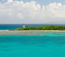 Les milieux marins et littoraux français et leurs services : une évaluation dans le cadre du programme EFESE