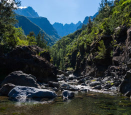 Évaluer l’état de santé des milieux aquatiques en Outre-mer : des outils basés sur la biodiversité