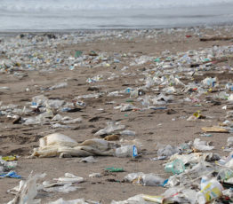 « Fermons le robinet avant de chercher à éponger l’inondation de plastiques »