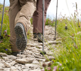 J’agis avec la recherche pour la biodiversité